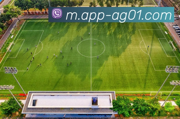 体育App